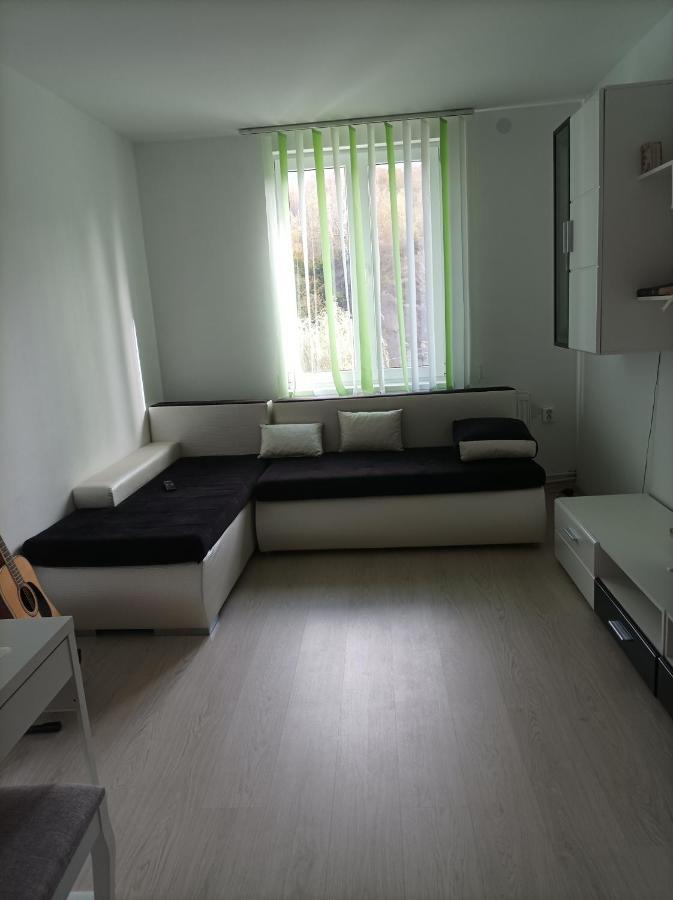 Apartament Doua Camere Uricani  المظهر الخارجي الصورة