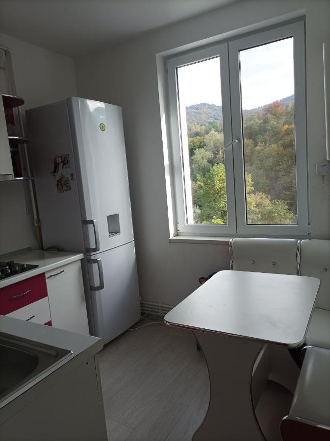 Apartament Doua Camere Uricani  المظهر الخارجي الصورة